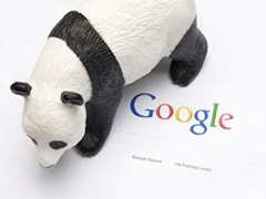 Google Panda, thu thuat seo, thu thuat wordpress, wordpress plugins, wordpress tips